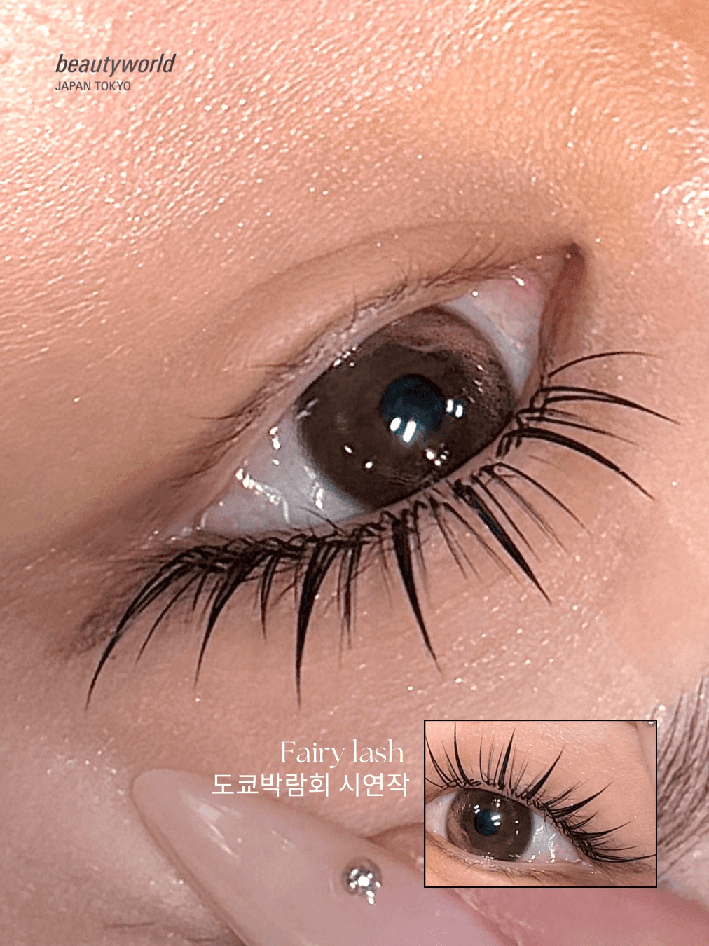 LED 페어리래쉬