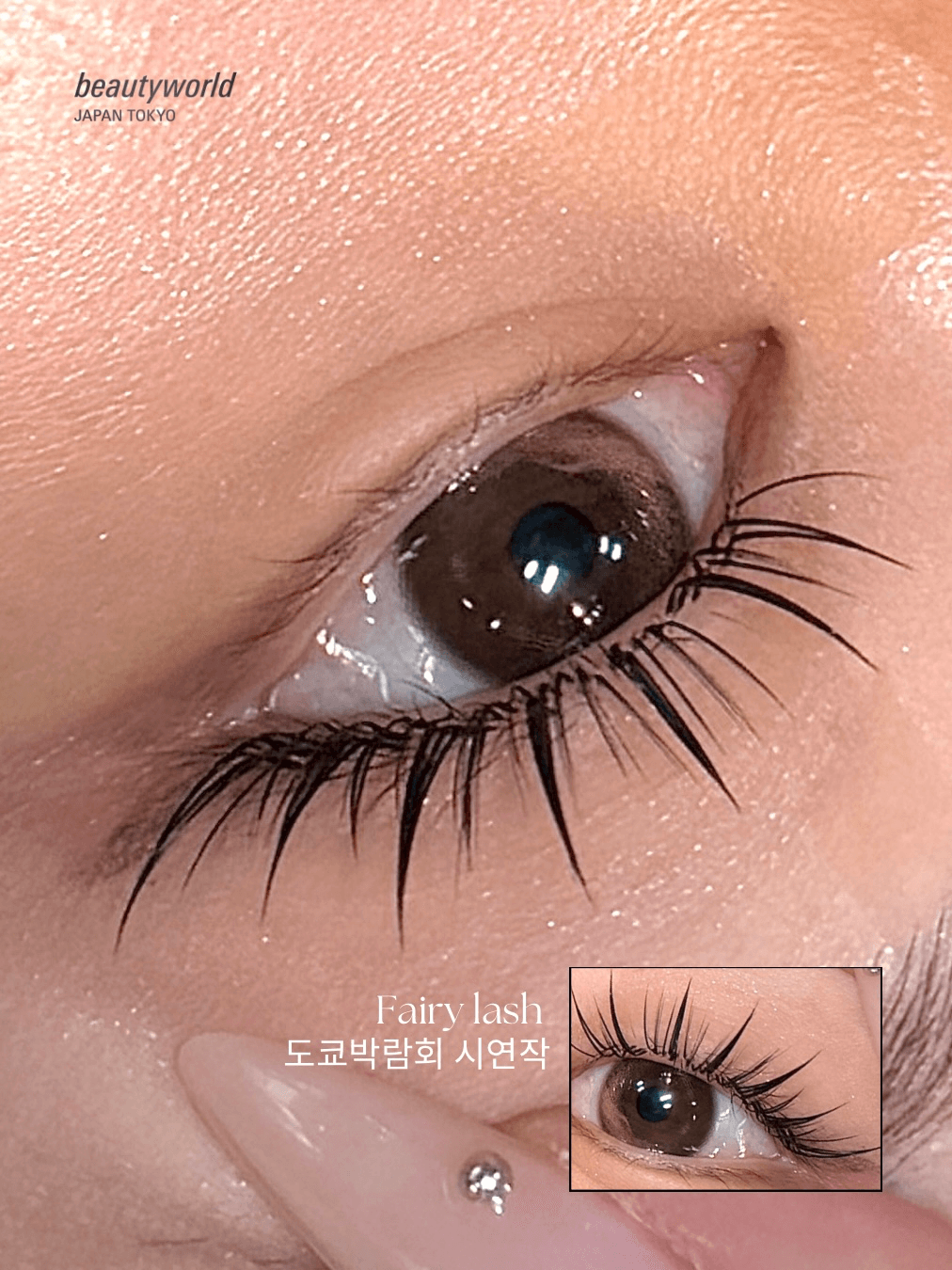 LED 페어리래쉬