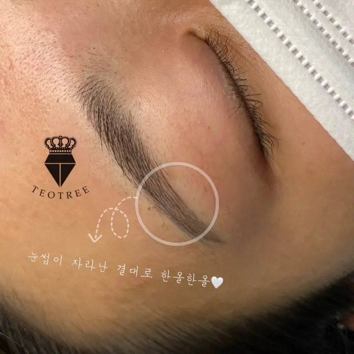 여자자연눈썹