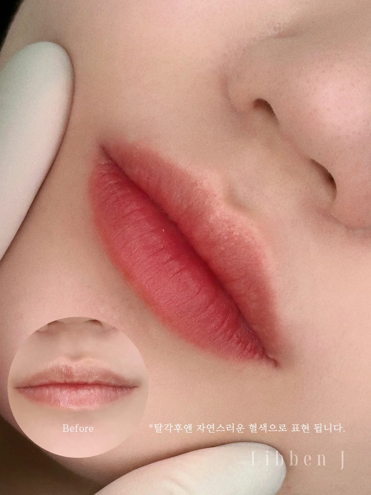 그라데이션립